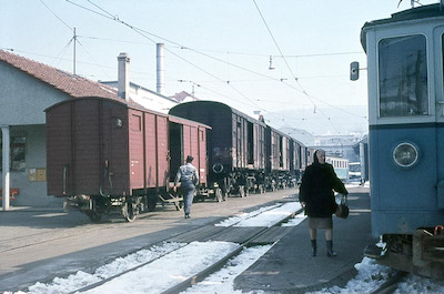 WSB Güterzug mit Triebwagen Nr. 3, Menziken, 1965