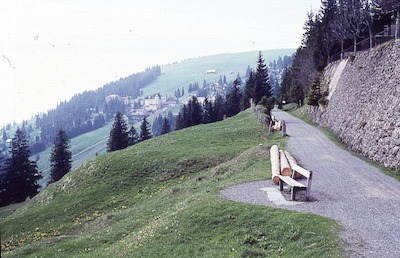 Rigi-Kaltbad, Tracé ehem. Scheideggbahn, 1961