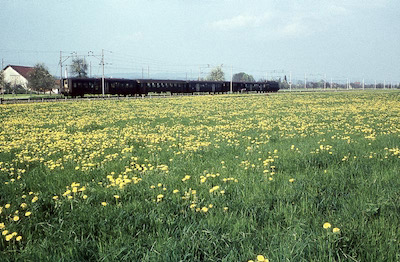 SBB, östlich von Frauenfeld, Schnellzug mit Ae 3/6 I, Aufnahme 1960