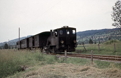 Sursee-Triengen-Bahn, Geuensee, Dampfzug mit E 2/2 2, Aufnahme 1956